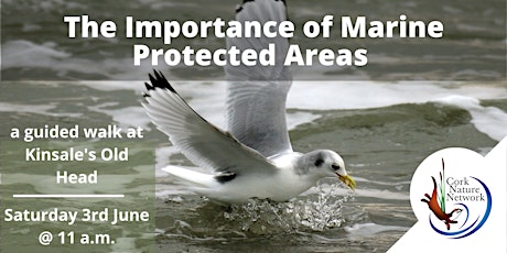 The Importance of Marine Protected Areas