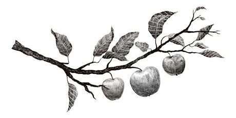 Earth Hour creative workshop - Illustrated Fruit Tree Mini Sketchbooks primary image
