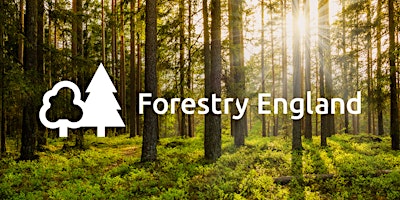 Imagem principal do evento Forestry England - Dimmingsdale and the wider Churnet Valley (~4.5 miles)