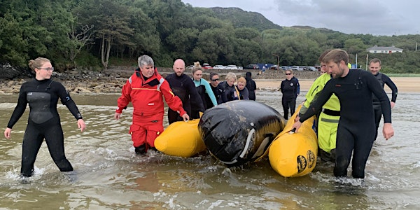 IWDG Live Stranding Course Galway