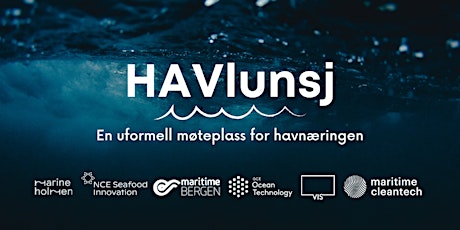 HAVlunsj - Plastic Pollution