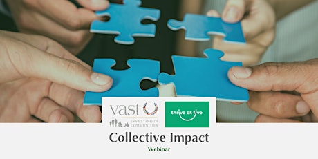 Webinar | Collective Impact: working together for societal change