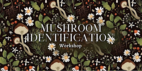 Mushroom Identification  Workshop primary image