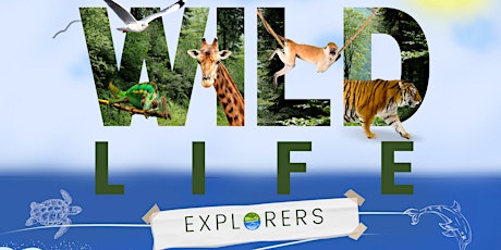 Wildlife Explorers Camp