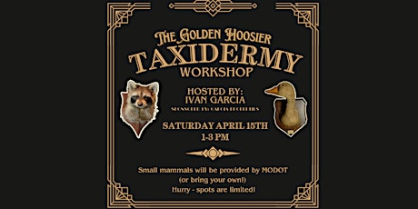 The Golden Hoosier Taxidermy Workshop