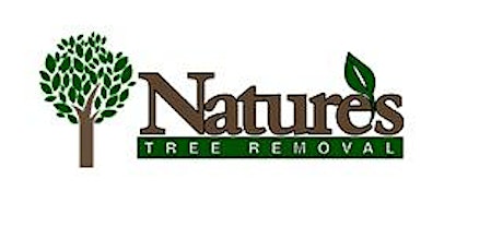 What is the importance of regular tree service?