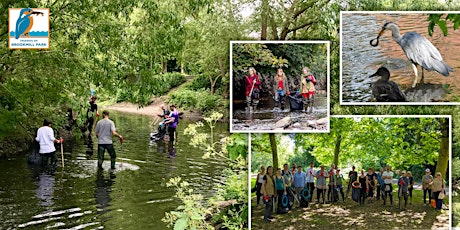 Brookmill Park River Clean Up and Park Litter Pick