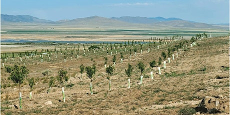 SLOW FOOD UTAH - FARM MOB, PYNE FARMS