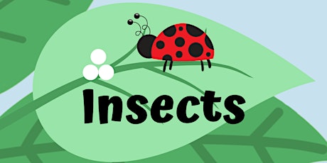 Preschool Lab: Insects