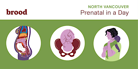 North Shore Prenatal in a Day