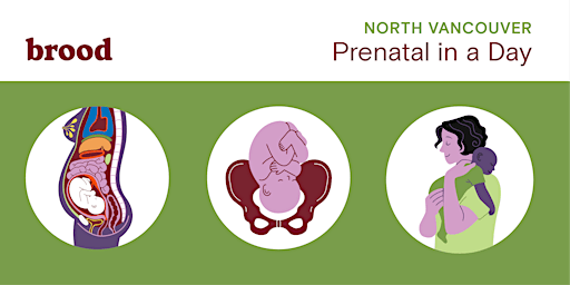 Primaire afbeelding van North Shore Prenatal in a Day