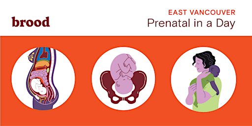Imagem principal do evento Eastside Prenatal in a Day