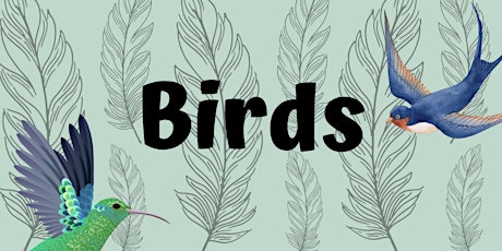 Preschool Lab: Birds
