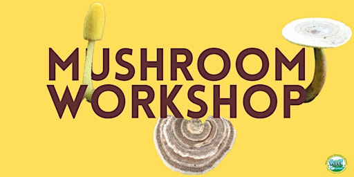 Mushroom Workshop