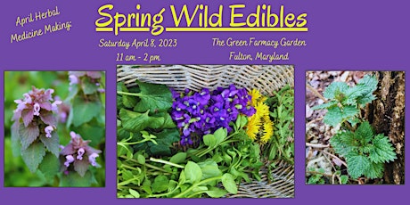 April Herbal Medicine Making: Spring Wild Edibles
