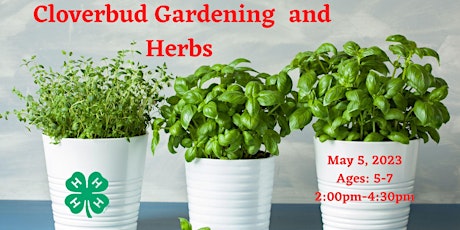 Cloverbud Gardening, and Herbs