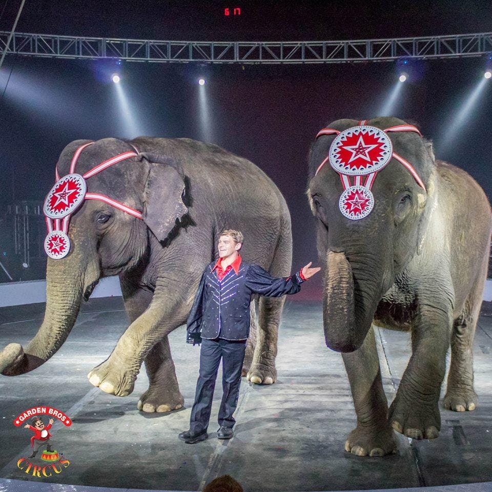 Garden Bros Circus 24 Sep 2018 Garden Bros Circus