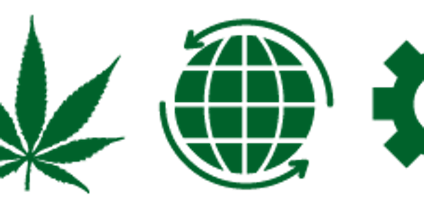 Online Cannabis Business Course