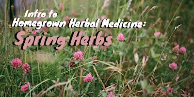 Primaire afbeelding van Intro to Homegrown Herbal Medicine: Spring Herbs Workshop Series