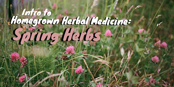 Intro to Homegrown Herbal Medicine: Spring Herbs Workshop Series