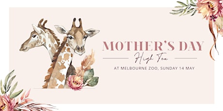 Mother's Day High Tea at Melbourne Zoo (Afternoon) primary image