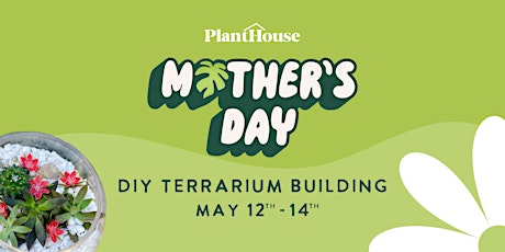 Mother's Day DIY Terrarium Building