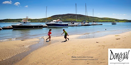 Wildlife of the Swilly: Boat Tour primary image