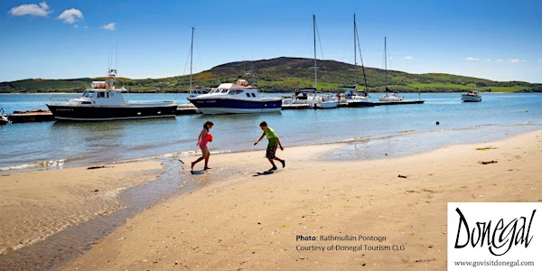 Wildlife of the Swilly: Boat Tour