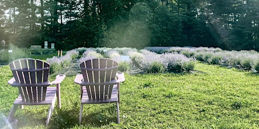 Hauptbild für Serene Lavender Farm Open House and U-Pick:  June 15