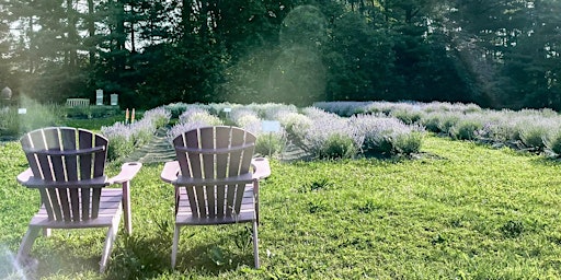 Serene Lavender Farm Open House and U-Pick:  June 15 primary image