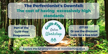 The Perfectionist's Downfall: The cost of having excessively high standards