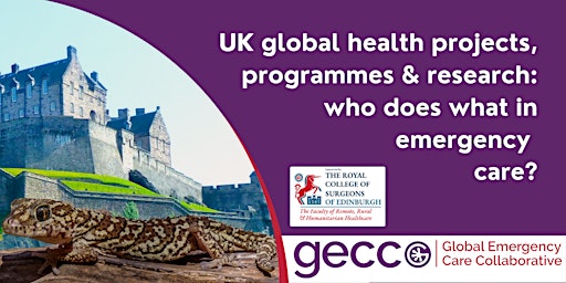 UK GH projects, programmes & research: who does what in emergency care? primary image