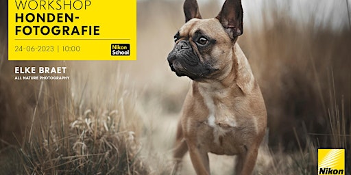 Primaire afbeelding van Nikon | Workshop Hondenfotografie | Elke Braet | Turnhout