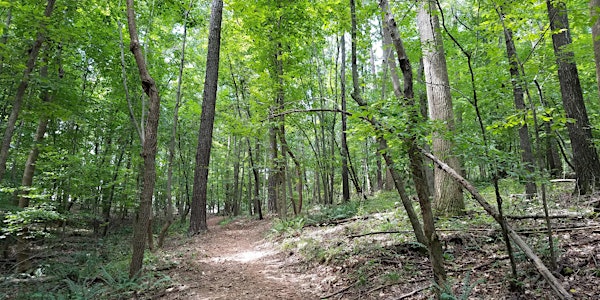 Walk With Me - Leadership Walking Retreat for Women