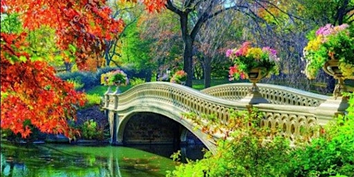 Paint In Central Park  primärbild