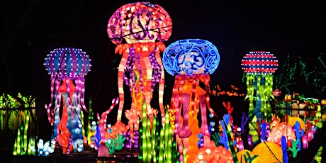 Magical Chinese Lantern Festival -Los Angeles, CA primary image