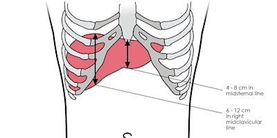 Visceral Osteopathy. Part 1 of 2.