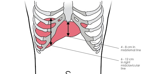 Image principale de Visceral Osteopathy. Part 1 of 2.