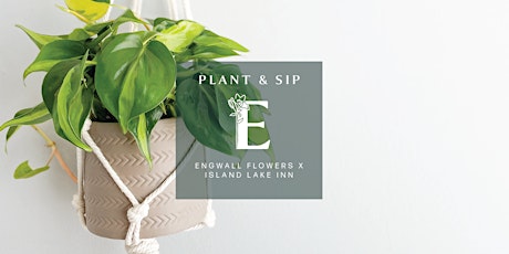 PLANT & SIP primary image