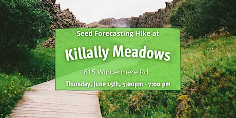Seed Forecasting Hike at Kilally Meadows
