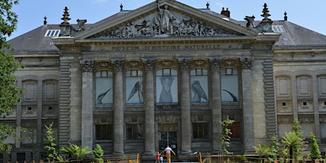Image principale de Visite du Muséum d'histoire naturelle de Nantes