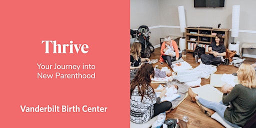 Imagen principal de IN-PERSON Thrive: Your Journey Into New Motherhood class series 6/7-7/12