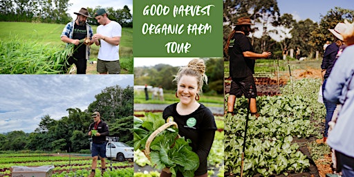 Good Harvest Organic Farm Tour - July primary image