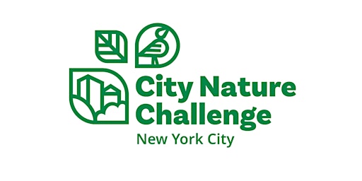 City Nature Challenge Bioblitz: Seward Park