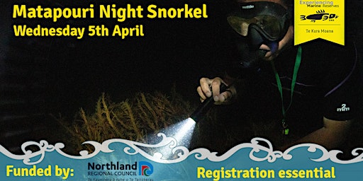 Matapouri Night Snorkel - take 2!