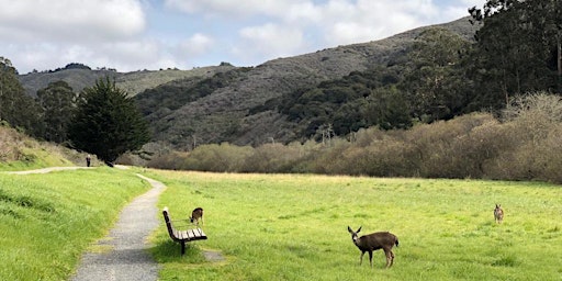 San Pedro Valley Habitat Restoration Volunteer Event primary image