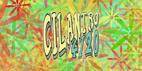 Cilantro 4/20 primary image