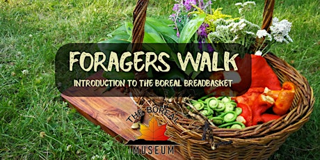 Boreal Museum's Foragers Walk
