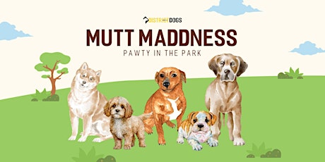 District Dogs Mutt Maddness