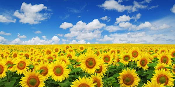 Distributed Energy Resources: A Clean Energy Pathway to Mitigating Climate Change